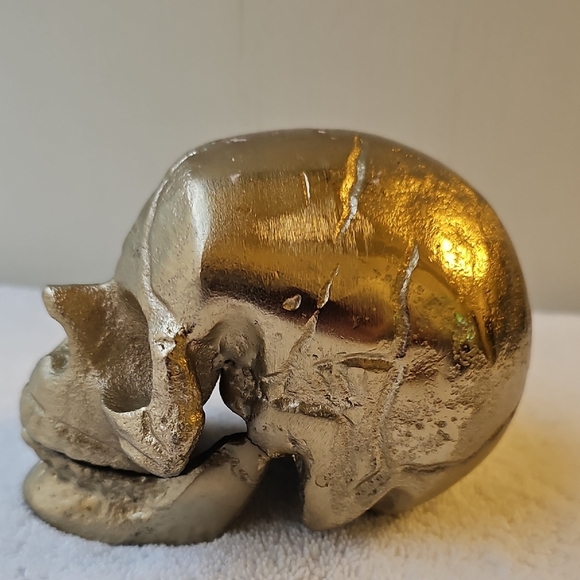 New Shiny Gold Skull with Hallowed Out Center Halloween Decor 3"x3" - Picture 5 of 12